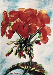 Geranium